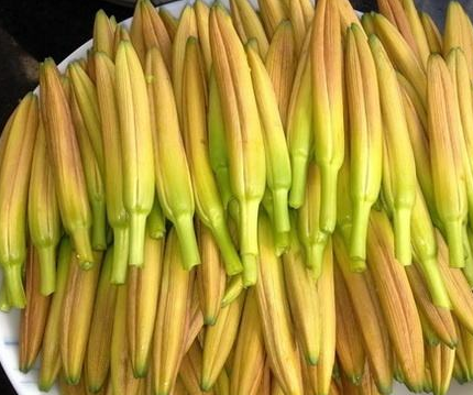 秋冬季节【微量元素分析仪】厂家国康分析富硒黄花菜,明目养颜,比核桃还补脑!